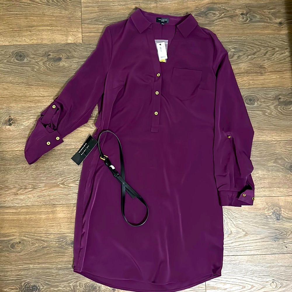 Purple Ashton Shirt Dress from The Limited